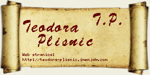 Teodora Plisnić vizit kartica